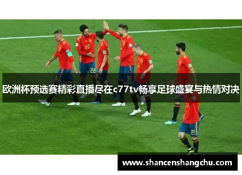 欧洲杯预选赛精彩直播尽在c77tv畅享足球盛宴与热情对决