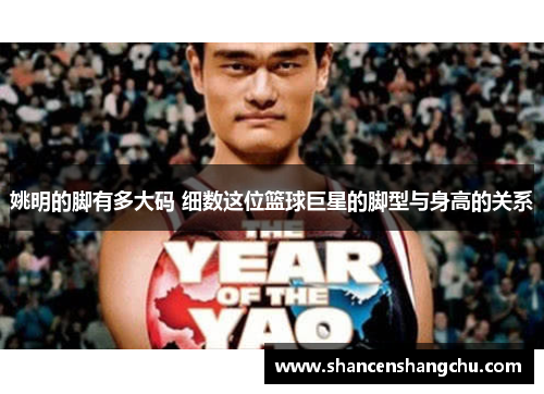 姚明的脚有多大码 细数这位篮球巨星的脚型与身高的关系