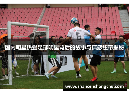 国内明星热爱足球明星背后的故事与情感纽带揭秘