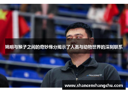 姚明与猴子之间的奇妙缘分揭示了人类与动物世界的深刻联系
