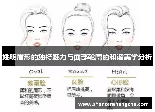 姚明眉形的独特魅力与面部轮廓的和谐美学分析