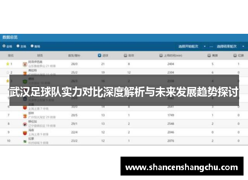 武汉足球队实力对比深度解析与未来发展趋势探讨